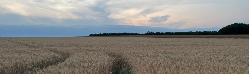 Noostromo Running Blog