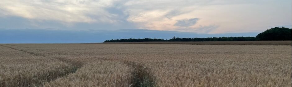 Noostromo Running Blog